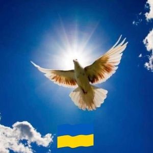 Meet your Posher, Beverly